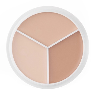 TFIT - Cover Up Pro Concealer Palette - 01 NEUTRAL - Paleta Korektorów do Twarzy, 10g